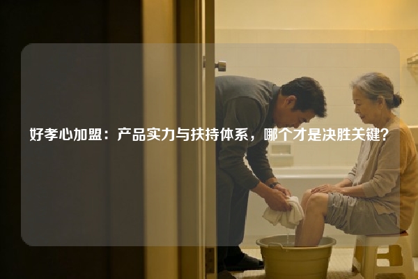 好孝心加盟：产品实力与扶持体系，哪个才是决胜关键？