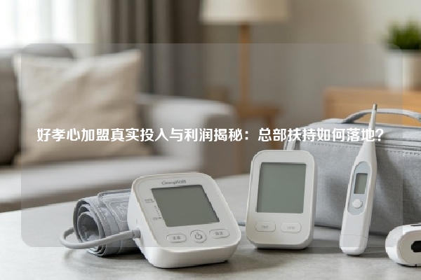 好孝心加盟真实投入与利润揭秘：总部扶持如何落地？