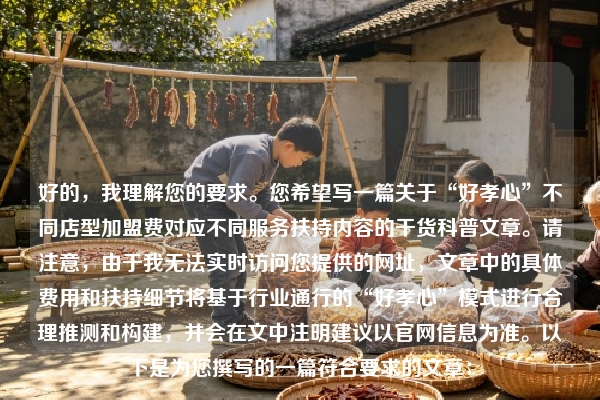 好的，我理解您的要求。您希望写一篇关于“好孝心”不同店型加盟费对应不同服务扶持内容的干货科普文章。请注意，由于我无法实时访问您提供的网址，文章中的具体费用和扶持细节将基于行业通行的“好孝心”模式进行合理推测和构建，并会在文中注明建议以官网信息为准。以下是为您撰写的一篇符合要求的文章：