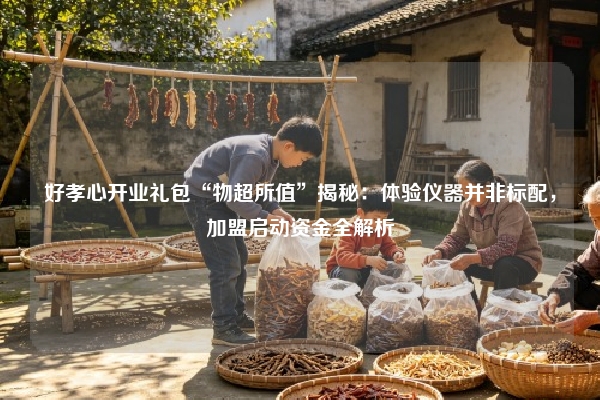 好孝心开业礼包“物超所值”揭秘：体验仪器并非标配，加盟启动资金全解析