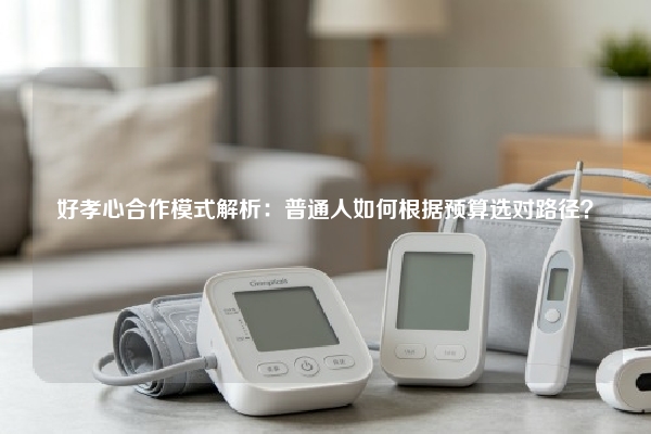 好孝心合作模式解析：普通人如何根据预算选对路径？