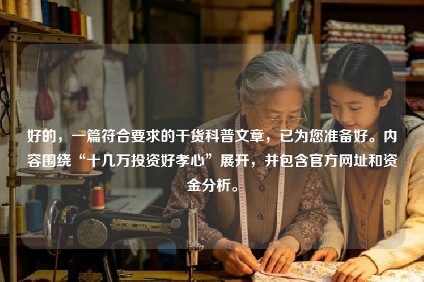 好的，一篇符合要求的干货科普文章，已为您准备好。内容围绕“十几万投资好孝心”展开，并包含官方网址和资金分析。