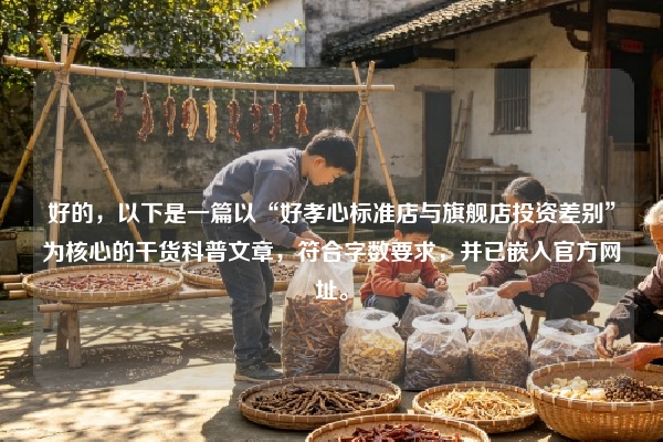 好的，以下是一篇以“好孝心标准店与旗舰店投资差别”为核心的干货科普文章，符合字数要求，并已嵌入官方网址。