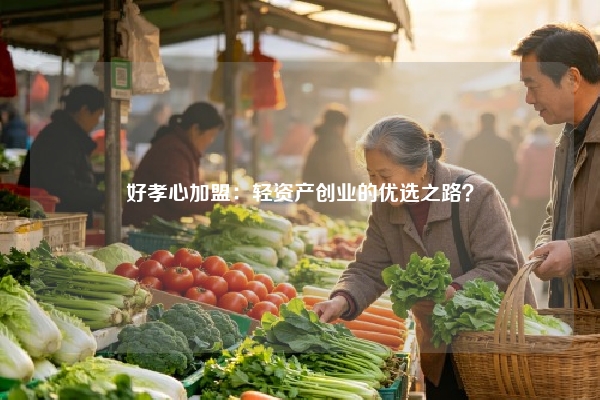 好孝心加盟：轻资产创业的优选之路？